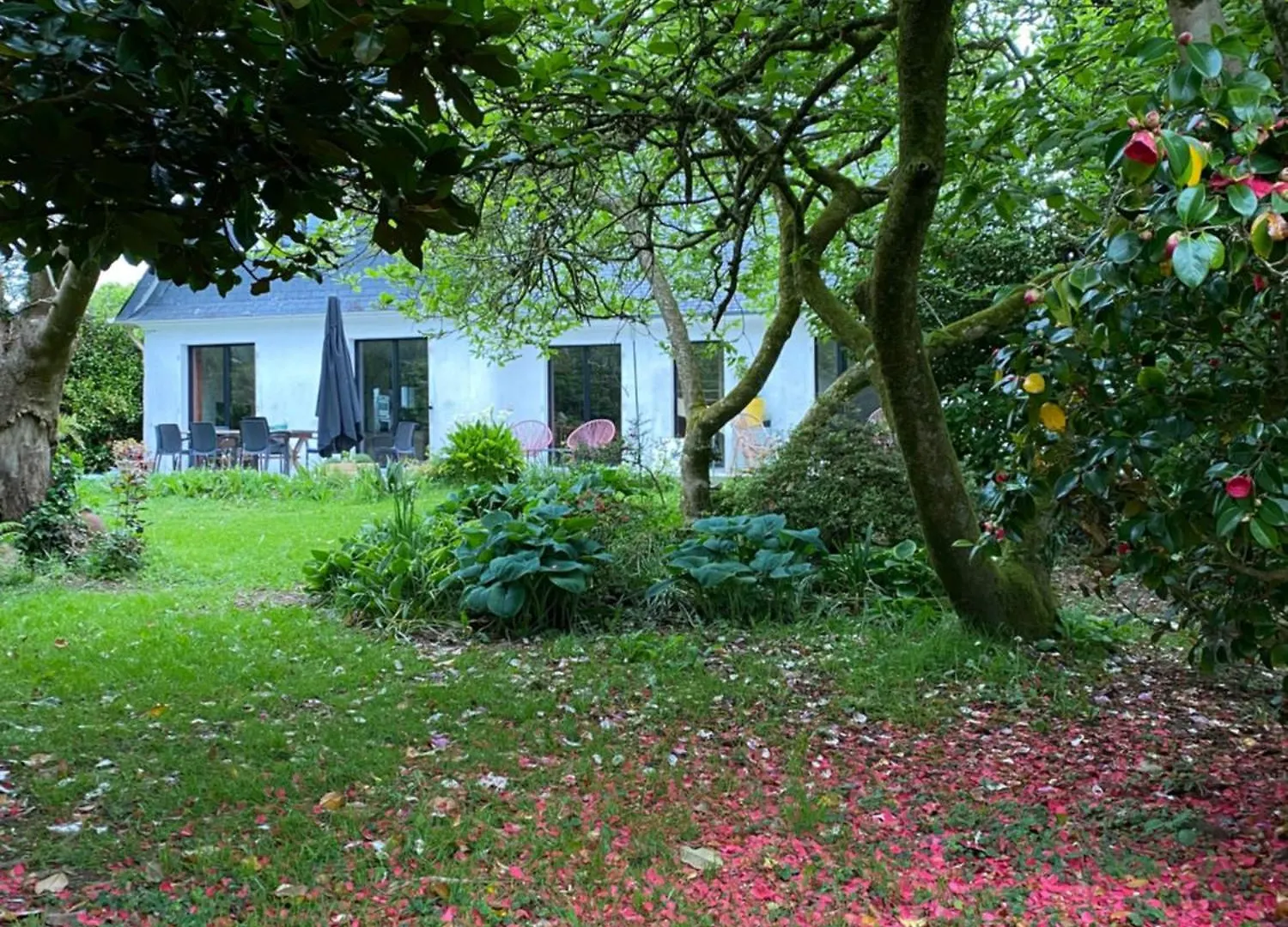 Bed and Breakfast Ty Ar Gwez Plogonnec Frühstückspension